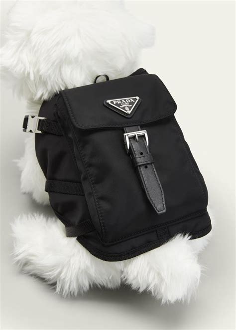 cat prada|prada pet accessories.